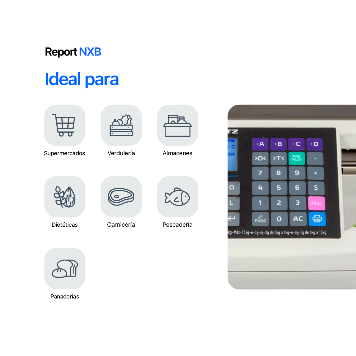 Report NXB - Imagen 3