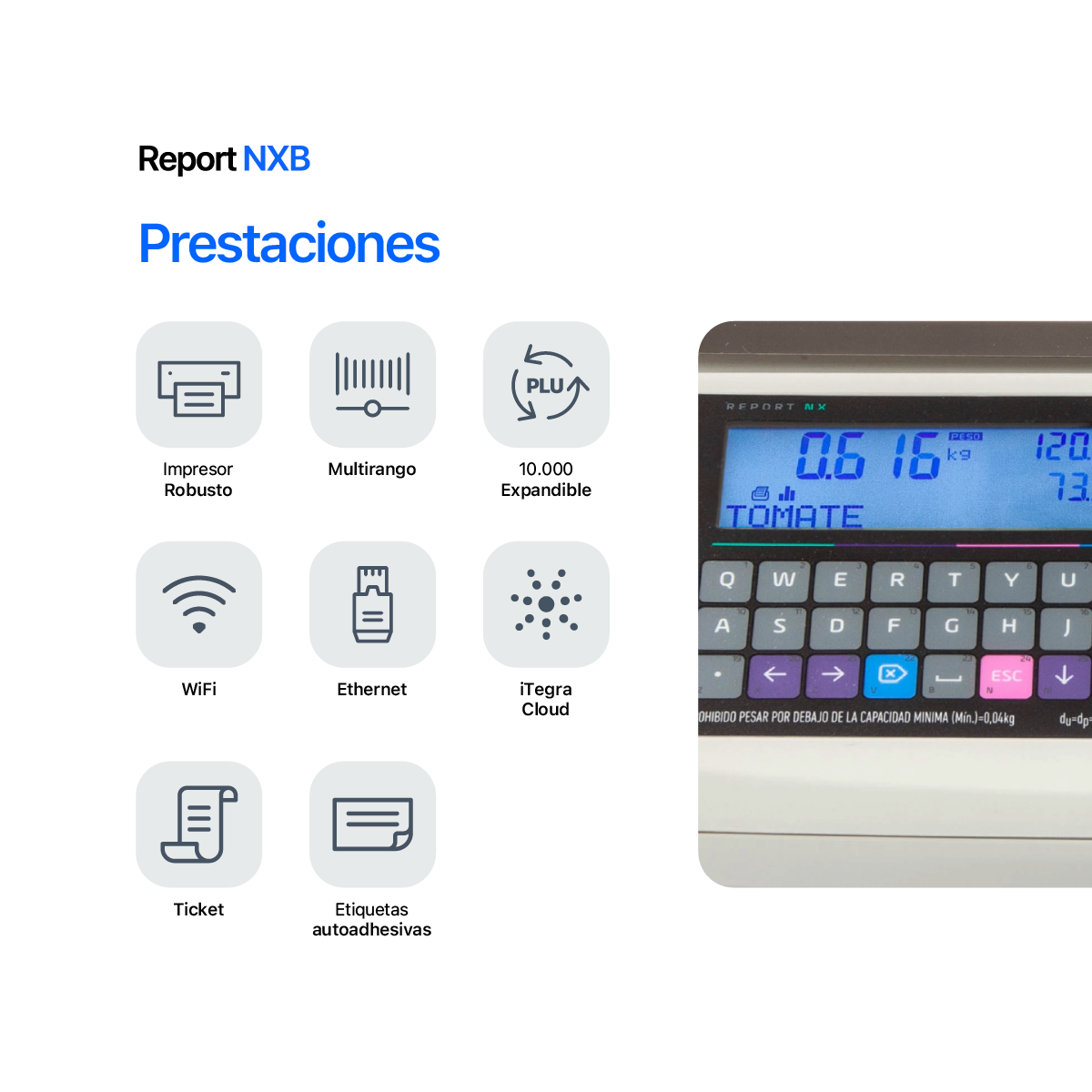 Report NXB - Imagen 4